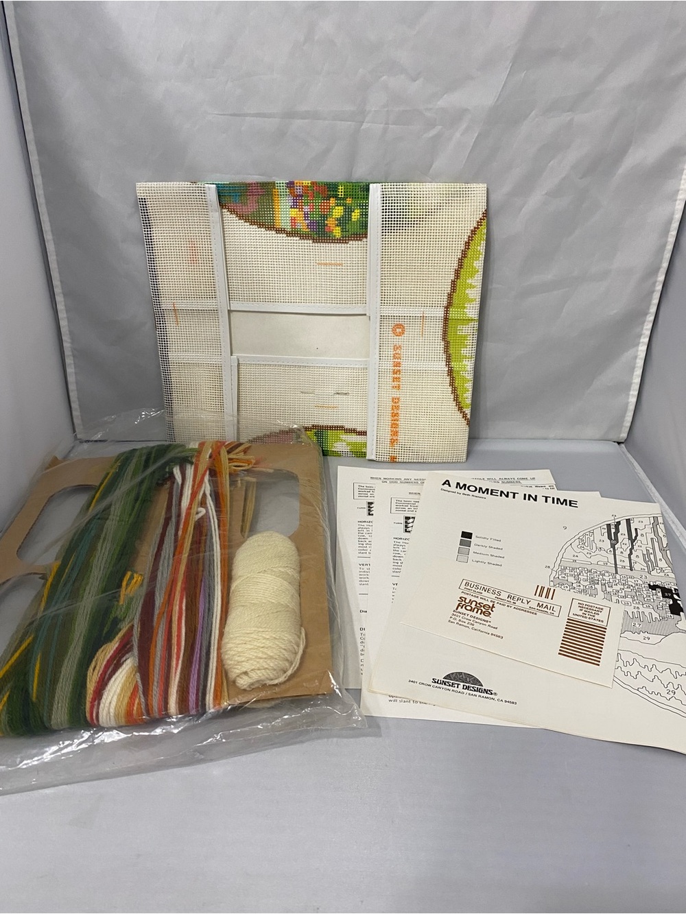 A Moment in Time Needlepoint Kit by Sunset Designs - Multi-Color